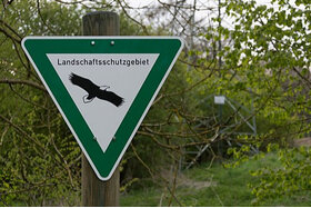 Bild der Petition: Königshöhe schützen! Keine Hängebrücke und Seilbahn im Landschaftsschutzgebiet