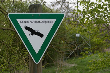 Bild der Petition Königshöhe schützen! Keine Hängebrücke und Seilbahn im Landschaftsschutzgebiet