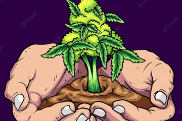 Bild der Petition Kommunaler Modellversuch (CannabisSocialClubs) zur Abgabe von Cannabis in Marktoberdorf