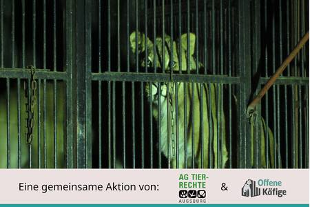 Bild der Petition: Kommunales Verbot für Zirkusbetriebe mit Wildtieren auf städtischen Flächen in Augsburg