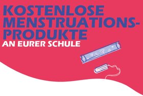Bild der Petition: Kostenlose Periodenprodukte an Hannovers Schulen