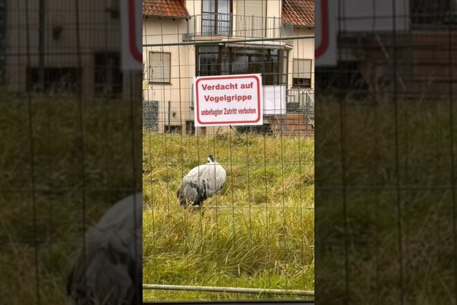 Bilde av begjæringen Kranich Quälerei stoppen!