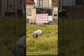 A petíció képe: Kranich Quälerei stoppen!