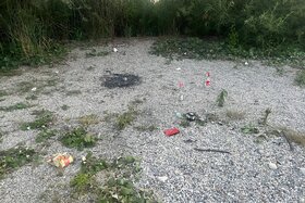 Bild der Petition: Kronthaler Weiher Erding: Naturidylle statt Müllkippe!