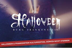 Bild på petitionen:Kultur darf nicht sterben: Erhalt von Halloween und Kulturfestival auf der Burg Frankenstein