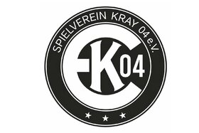 Bild der Petition: Kunstrasen für den SV Kray 04 – für unsere Kinder!
