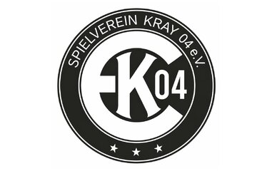 Bild der Petition Kunstrasen für den SV Kray 04 – für unsere Kinder!