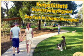 Φωτογραφία της αναφοράς:Kutyafuttató Létrehozása Sepsiszentgyörgyön - Dog Park în Sfântu Gheorghe