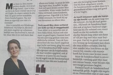 Image de la pétition Laat de hulphond Max terug komen naar bijna blinde Jo Bergman