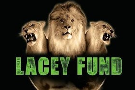 Obrázek petice:LACEY Fund e.V.: Für den Erhalt des gut geführten Tiercircus