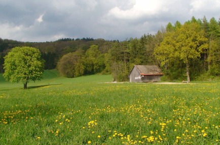 Kép a petícióról:Landschaftsschutz für den Dunkelsteinerwald - Fortsetzung