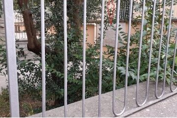 Immagine della petizione Lapide commemorativa per Dora d'Istria