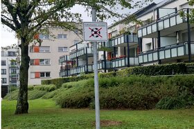 Bild der Petition: Lasst unsere Kinder spielen! – Für den Erhalt der Freiflächen im Quartier Lichtenbroich