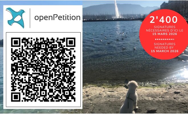 Image de la pétition Le lac pour toutes et tous : cohabitation responsable incluant les chiens à Genève