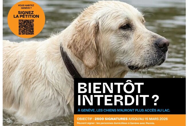 Peticijos vaizdas Le lac pour toutes et tous : cohabitation responsable incluant les chiens à Genève