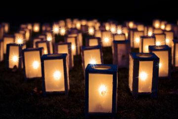 Image of the petition Leben schenken und Sterben im Beisein einer Person die man liebt