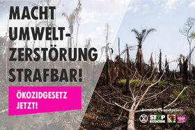 Picture of the petition:Umweltzerstörung ins Strafgesetzbuch