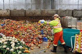 Peticijos paveikslėlis: Lebensmittel Nicht verschwenden, sondern spenden!