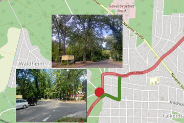 Image of the petition Lebensqualität und Bäume im Havelländer Weg und der Karl-Marx-Straße erhalten