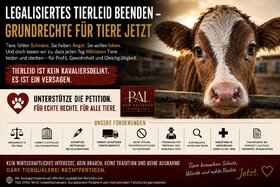 Image of the petition: Legalisiertes Tierleid beenden – Grundrechte für Tiere jetzt