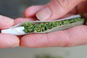 Poza petiției:Legalisierung Von Cannabis In Deutschland: Eine Wirtschaftliche  Hilfe In Der Krisenzeit
