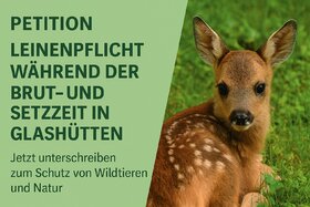 Bild der Petition: Leinenpflicht während der Brut- und Setzzeit in Glashütten