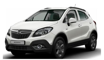 Bild der Petition: Lenkwinkelkennlinien Rückfahrkamera Opel Mokka