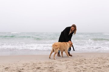 Image of the petition Let Dogs Enjoy Big Bay: Request for a Designated Dog-Friendly Zone at Big Bay Beach