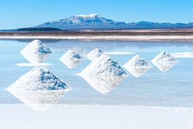 Image of the petition: Lithium: Anerkennung der Essentialität und Zulassung als Nahrungsergänzungsmittel