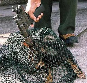Bild der Petition: Löschung der Internetseite "Gegenhund.org"