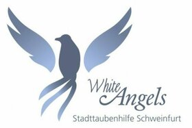 Bild der Petition: Lösung für Schweinfurter Taubenproblematik - JETZT!