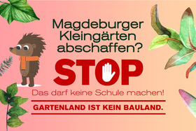 Bild der Petition: Magdeburger Kleingärten abschaffen? S T O P ! Das darf keine Schule machen!