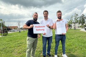 Изображение петиции:Maibaumschacht wiederherstellen für das Weiterleben einer Hornsteiner Tradition