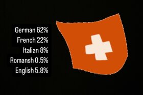 Bild der Petition: Making English One of the Official Languages to Complement Switzerland’s Multilingual Heritage