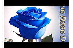 Pilt petitsioonist:Make the song “Carolina’s Calling” by Jeremy Hopson the new South Carolina state song