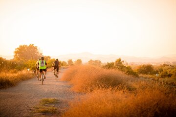 Bild der Petition Mangelhafte Radwege an Landesstraßen umgehend sanieren