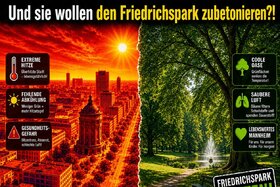 Bild der Petition: Mannheim glüht schon: Friedrichspark retten statt zubetonieren!