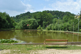 Bild der Petition: Mariatroster Teich als Badeparadies