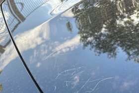 Bild der Petition: Maßnahmen Vandalismus