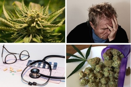 Bild der Petition: Medizinisches Cannabis: Ablehnung der Kostenübernahme durch Krankenkassen.