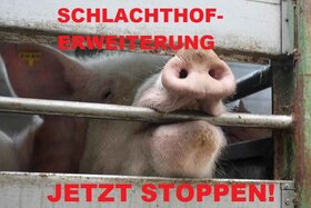 Bild der Petition: Mega-Schlachthoferweiterung von Westfleisch in Hamm/Westfalen stoppen!