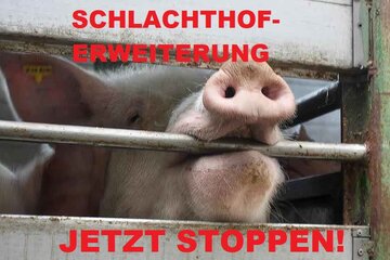 Bild der Petition Mega-Schlachthoferweiterung von Westfleisch in Hamm/Westfalen stoppen!