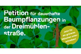 Bild der Petition: Mehr Bäume für die Dreimühlenstraße!