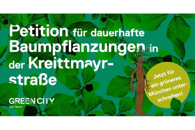 Bild der Petition: Mehr Bäume für die Kreittmayrstraße!