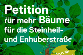 Photo de la pétition :Mehr Bäume für die Steinheil- und Enhuberstraße