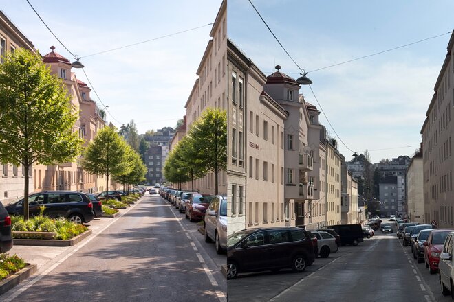 Bild der Petition Mehr Begrünung für die Flotowgasse und angrenzende Wohnstraßen in Döbling