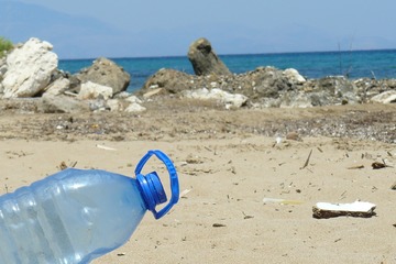 Bild der Petition Mehr Forschung zum Thema „plastikzersetzende Bakterien“