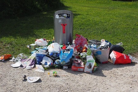 Foto e peticionit:Mehr Mülleimer für Hannover! Mehr tun für die Umwelt!