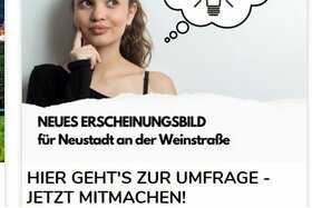 Zdjęcie petycji:Mehr Tansparenz und demokratische Vorgehensweise bei der Logoneugestaltung Neustadt Wstr.