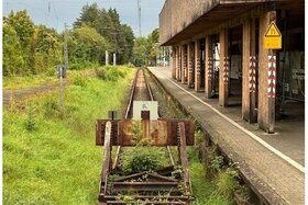 Bild der Petition: Mehr Verlässlichkeit vom ÖPNV von und nach Kronberg